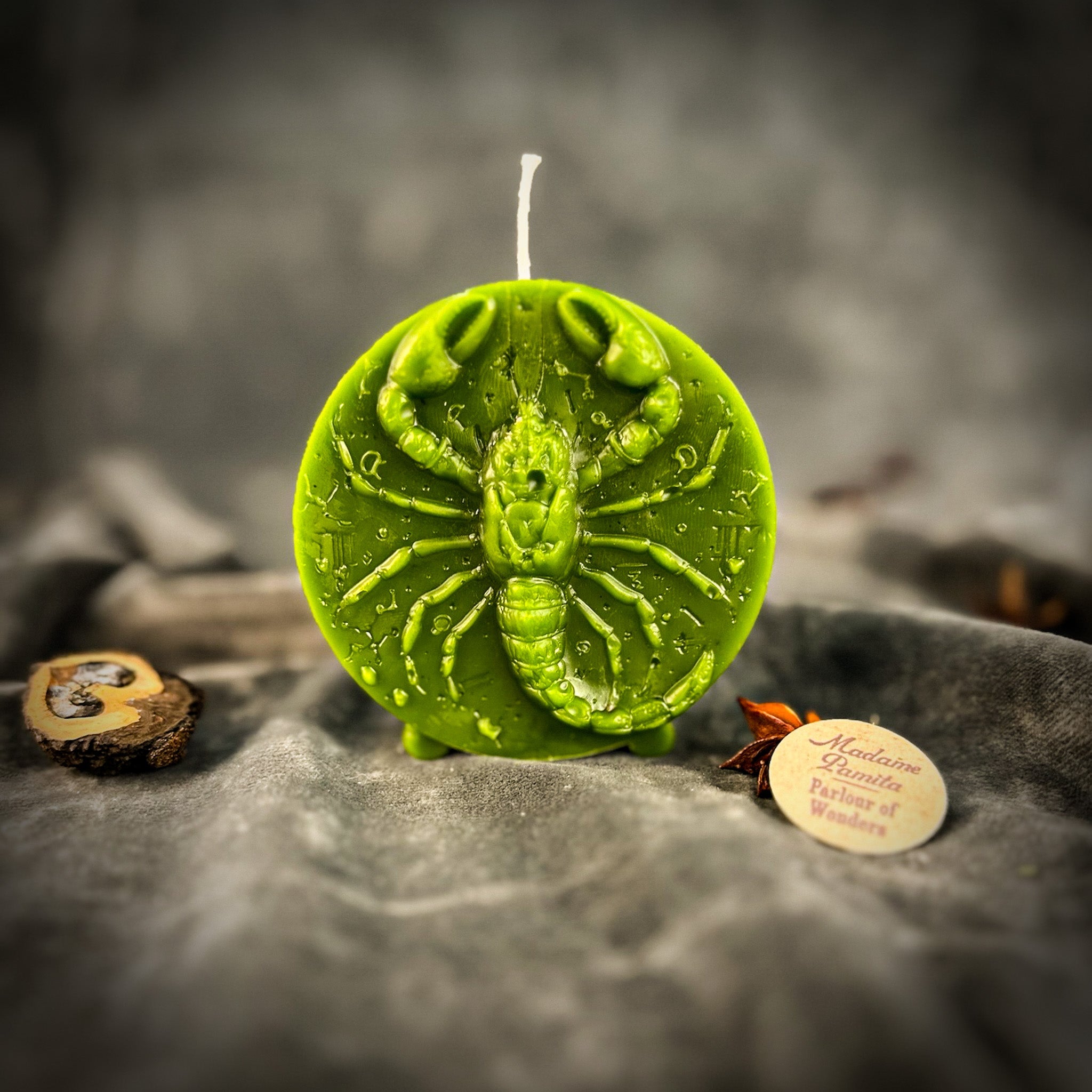Beeswax Scorpio Scorpion Zodiac Spell Candle