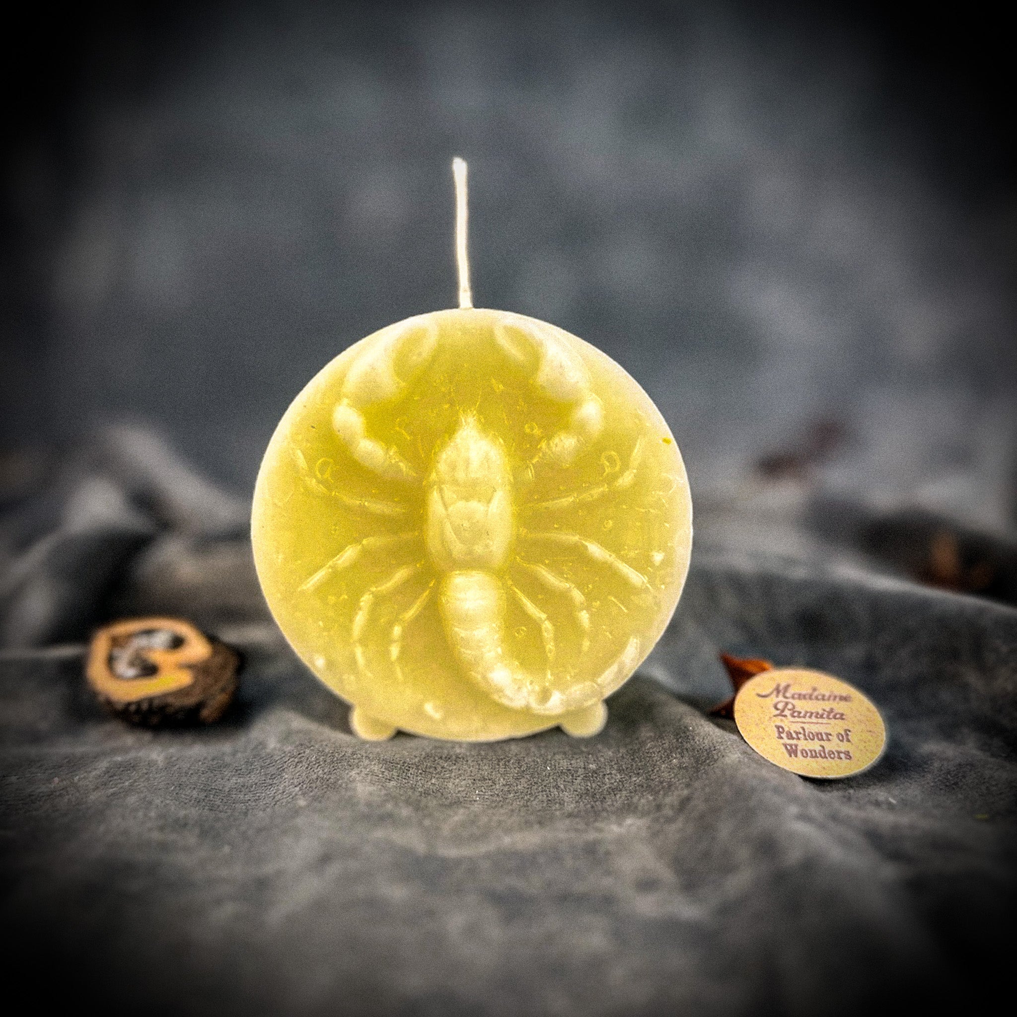 Beeswax Scorpio Scorpion Zodiac Spell Candle